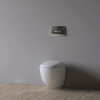 Смывная клавиша Geberit Delta 50 115.135.46.1 хром матовый
