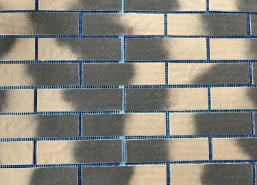 В данной статье мы расскажем о гибком кирпиче на сетке, его преимуществах и способах применения. Узнайте, где купить этот материал в Санкт-Петербур...