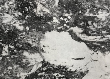 В данной статье мы расскажем о гибком камне, его преимуществах и способах применения. Вы узнаете, где купить гибкий камень в Санкт-Петербурге, а та...