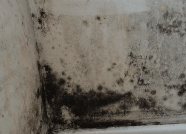 В данной статье мы рассмотрим проблему плесени и грибка в помещениях, их причины и последствия, а также предложим эффективные решения для их устран...